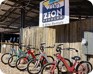 Bike shop zion sale